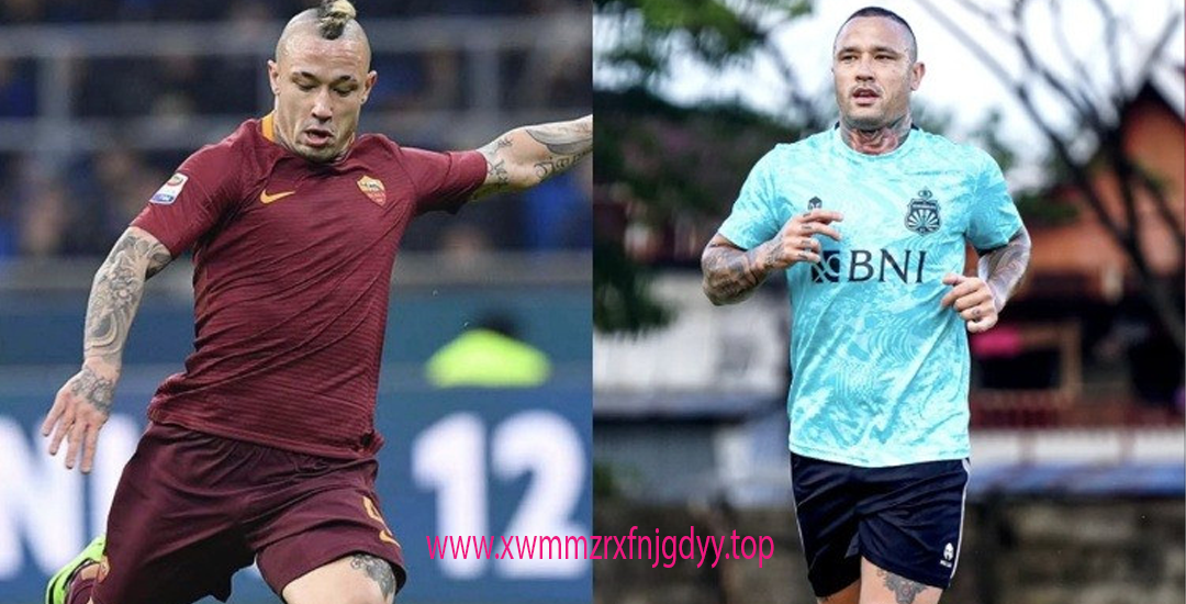 Radja Nainggolan