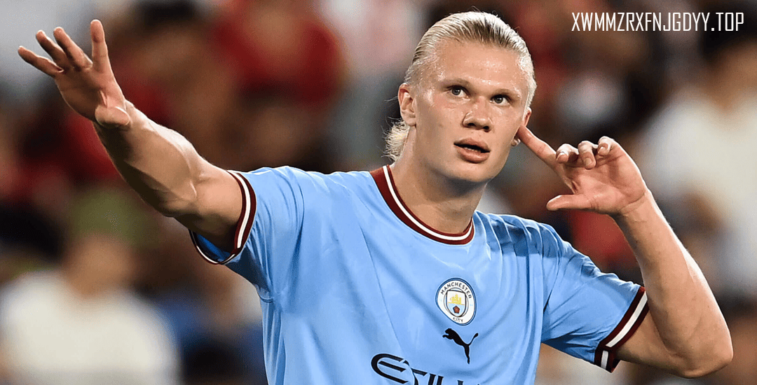 erling haaland (1)